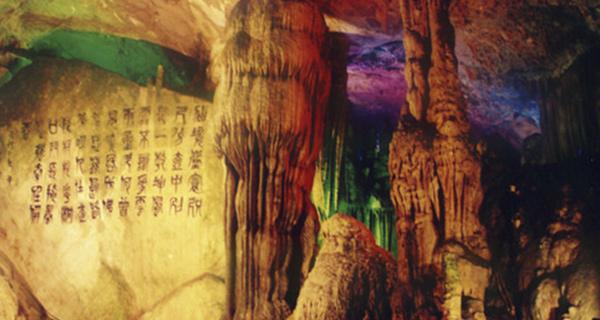 两会代表委员说 |杨宁：让“鹤城味道”成为“龙江名片”