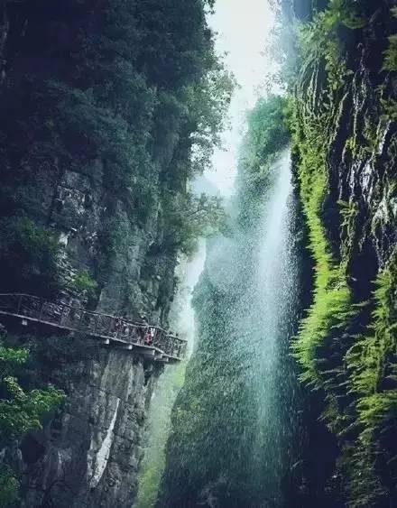 臭屁虫吃吃吃